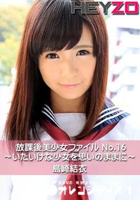 【放課後美少女ファイル No.16～いたいけな少女を思いのままに～】の一覧画像