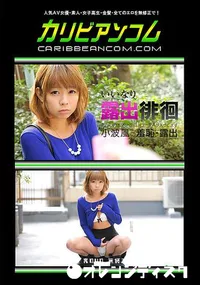 【いいなり露出徘徊 ～あたしのオマンコにはローターが入ってます～】の一覧画像