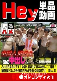 【これが日本のAVです!中国人留学生に涙の中出し○○連発!(Disc.2)】の一覧画像
