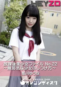 【放課後美少女ファイル No.22~無邪気な少女のしつけ方~】の一覧画像