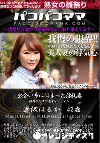 【パコパコママ 出会い系にはまった淫乱妻】の一覧画像