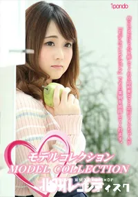 【モデルコレクション】の一覧画像