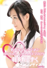 【モデルコレクション】の一覧画像