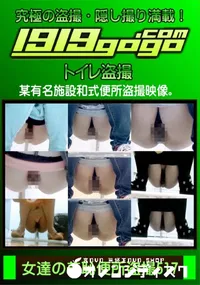 【女達の羞恥便所盗撮 Vol.517】の一覧画像