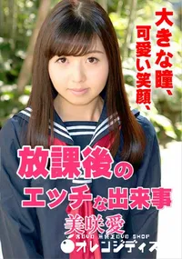 【放課後のエッチな出来事】の一覧画像