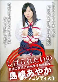 【しばられたいの 緊縛の快感に絶叫する制服痴女】の一覧画像