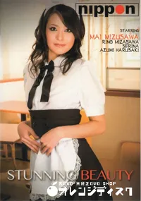 【スタンニング ビューティー】の一覧画像