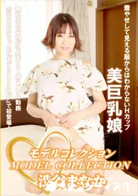 【モデルコレクション】の一覧画像