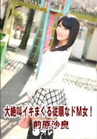 【大絶叫イキまくる従順なドM女!】の一覧画像