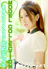 【モデルコレクション】の一覧画像