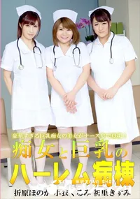 【痴女と巨乳のハーレム病棟】の一覧画像