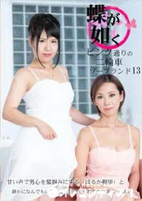 【蝶が如く  ピンク通りの二輪車ソープランド13】の一覧画像