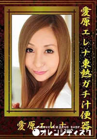 【愛原エレナ東熱ガチ汁便器】の一覧画像