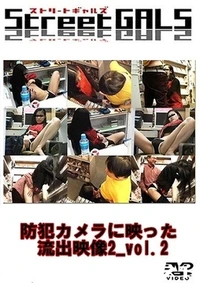 【防犯カメラに映った流出映像2_vol.2】の一覧画像
