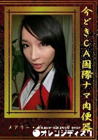 【 今どきCA国際ナマ肉便器】の一覧画像